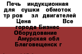 Печь   индукционная   для   сушки   обмоток   тр-ров,   зл. двигателей    › Цена ­ 3 000 000 - Все города Бизнес » Оборудование   . Амурская обл.,Благовещенск г.